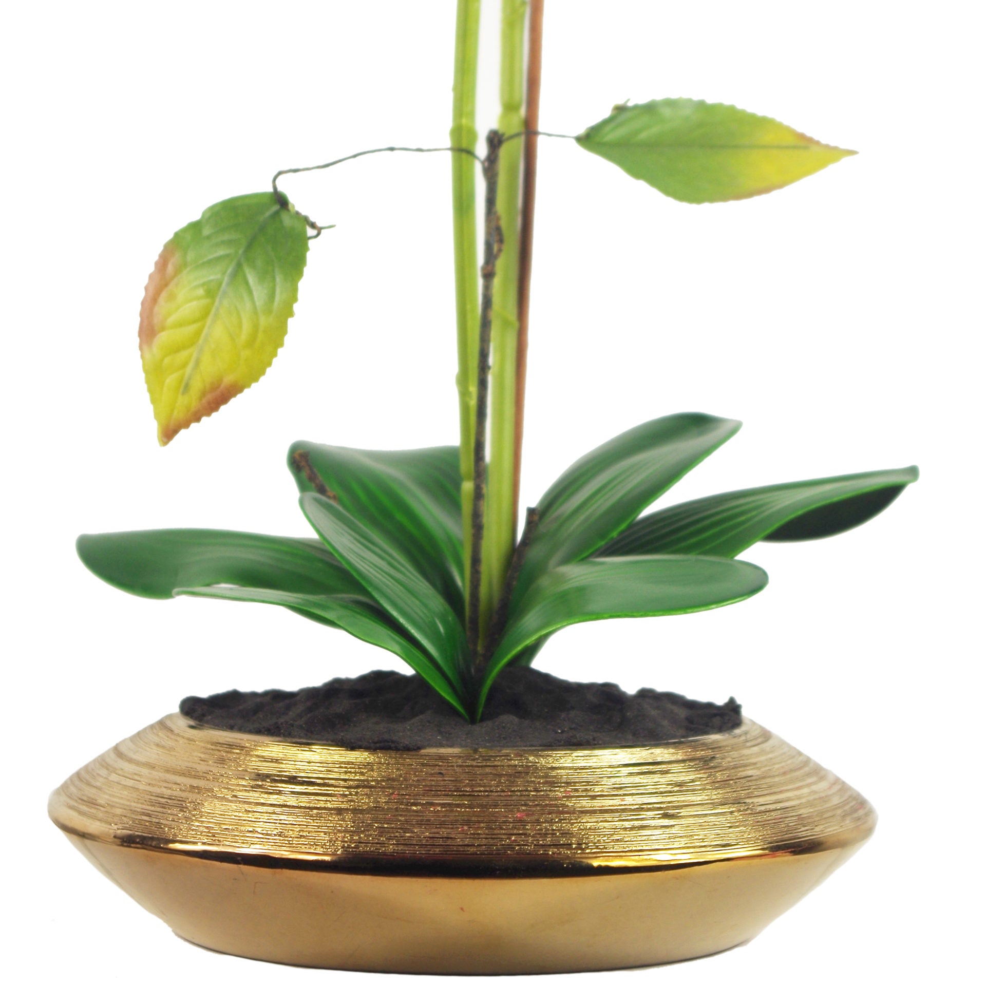 70cm Artificial Orchid Dark Pink with Gold Dish Ceramic Planter