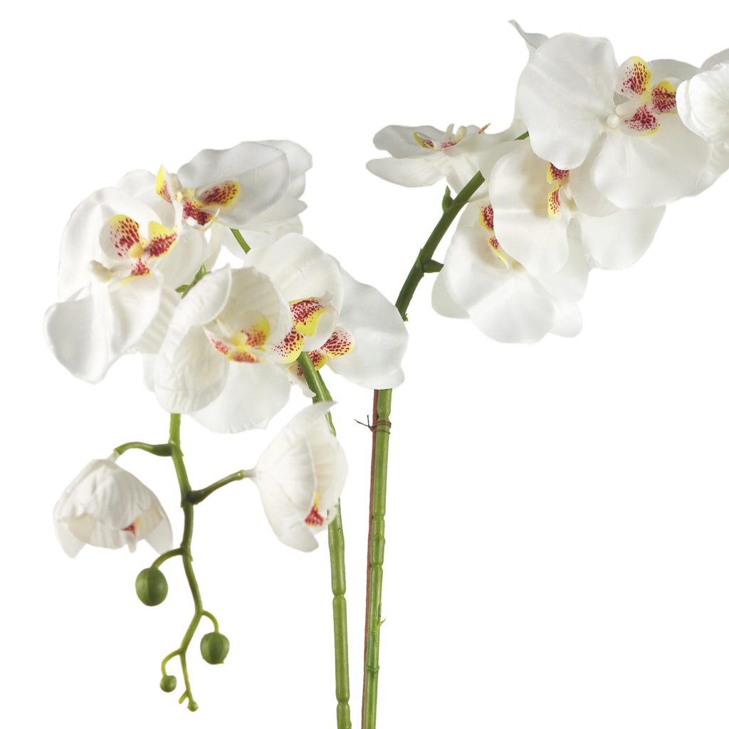 70cm Artificial Orchid White with Gold Dish Ceramic Planter