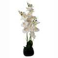 70cm Artificial Orchid White with Black Ceramic Planter