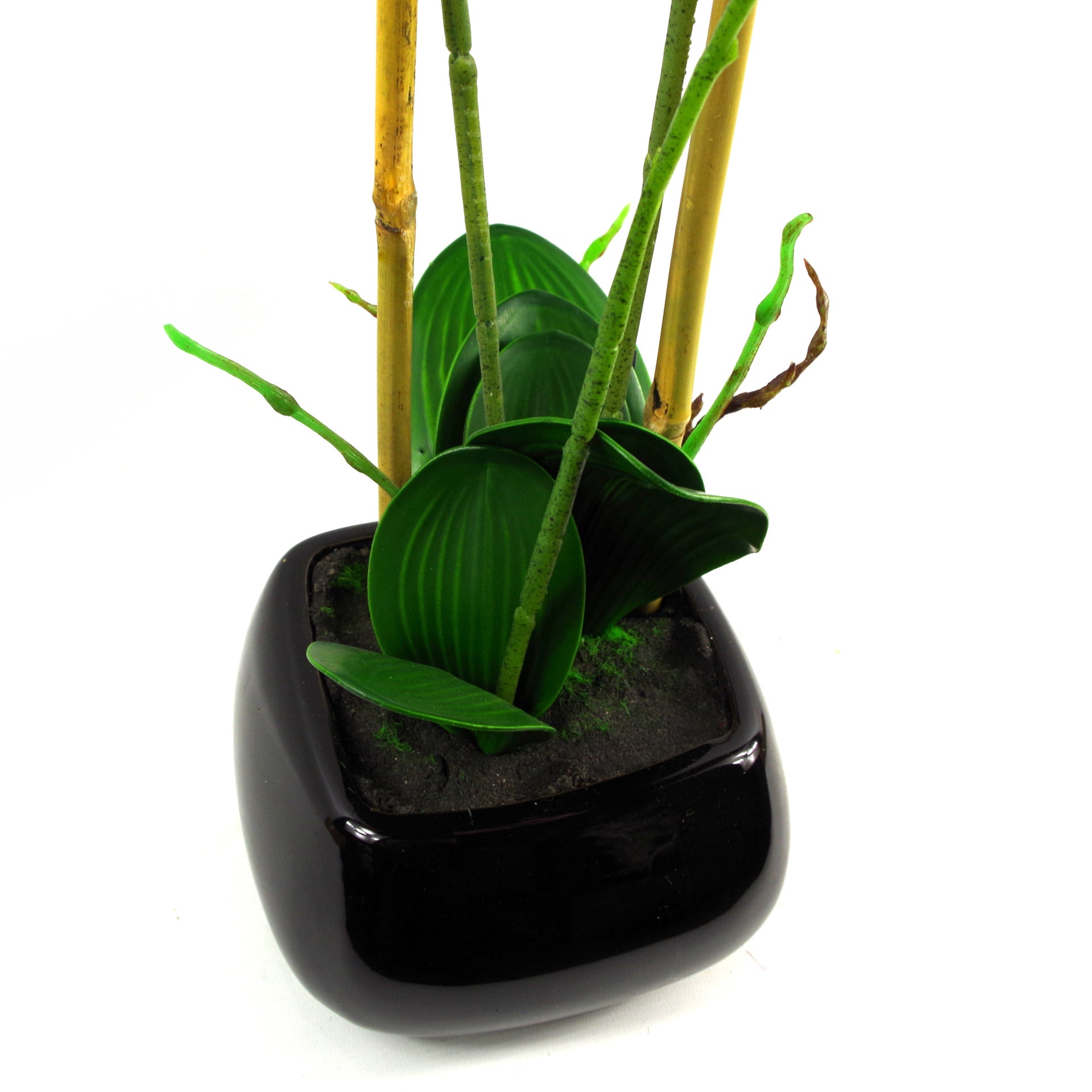 70cm Artificial Orchid White with Black Ceramic Planter