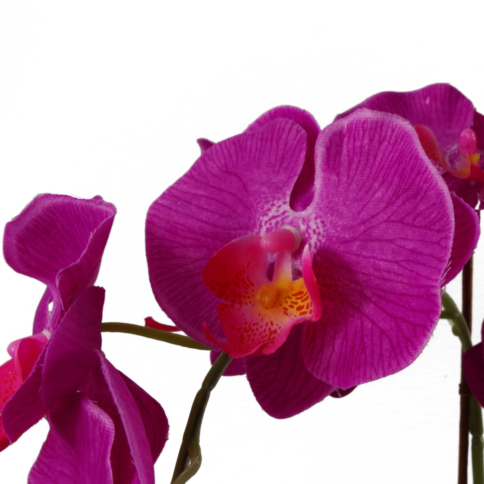 65cm Artificial Orchid Dark Pink in Glazed Planter