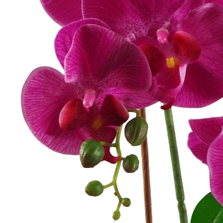 65cm Artificial Orchid Dark Pink in Glazed Planter