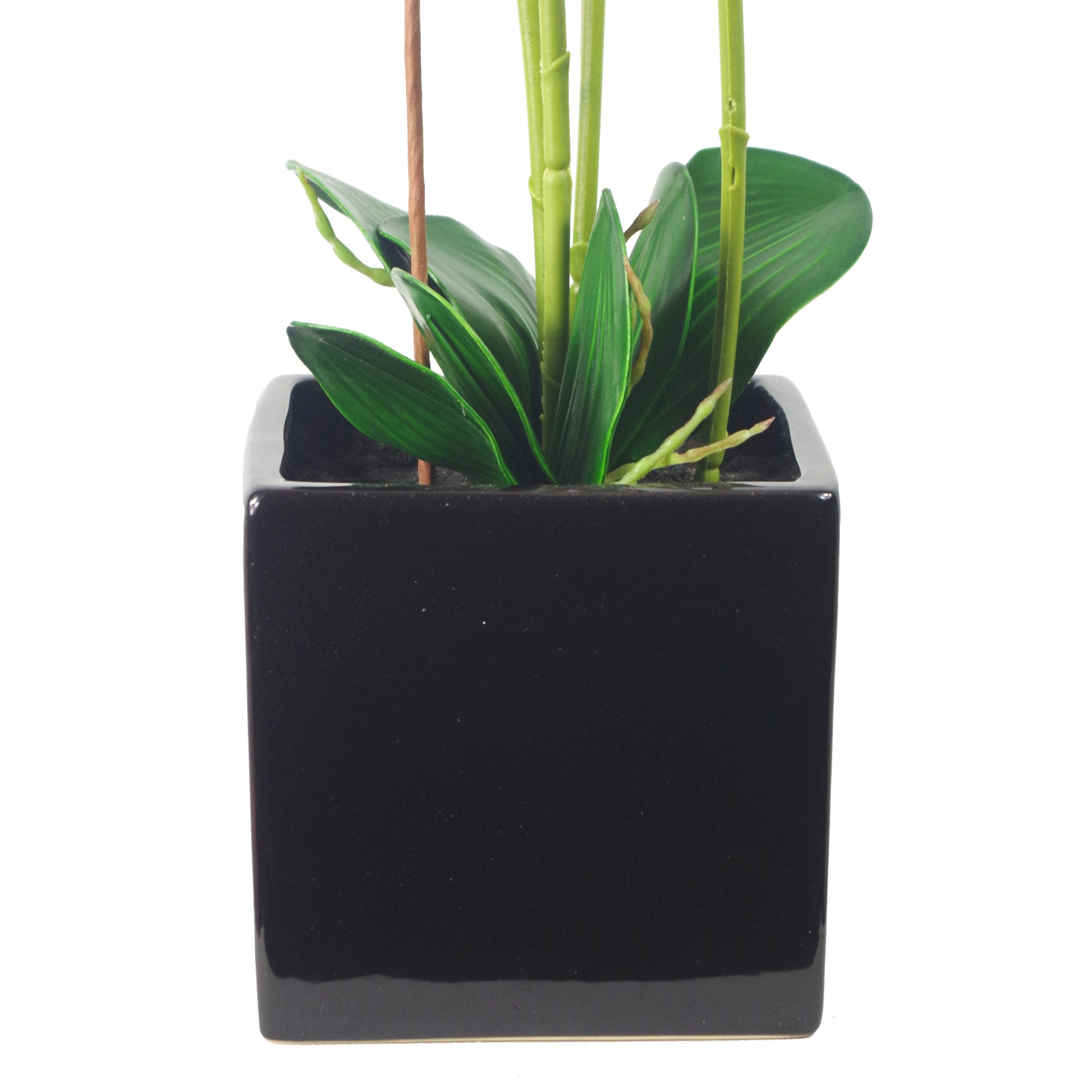 90cm Artificial Orchid Dark Pink in Ceramic Cube Planter