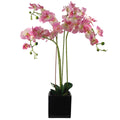 90cm Artificial Orchid Light Pink in Ceramic Cube Planter
