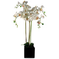 90cm Artificial Orchid White in Ceramic Cube Planter