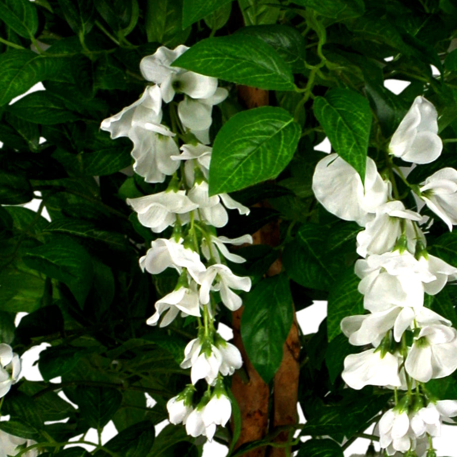 130cm Luxury Artificial Wisteria Tree White Flowers - Premium Range Gold Metal Planter