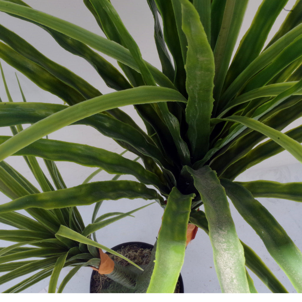 110cm Artificial Dracaena Nolina Recurvata Palm Tree