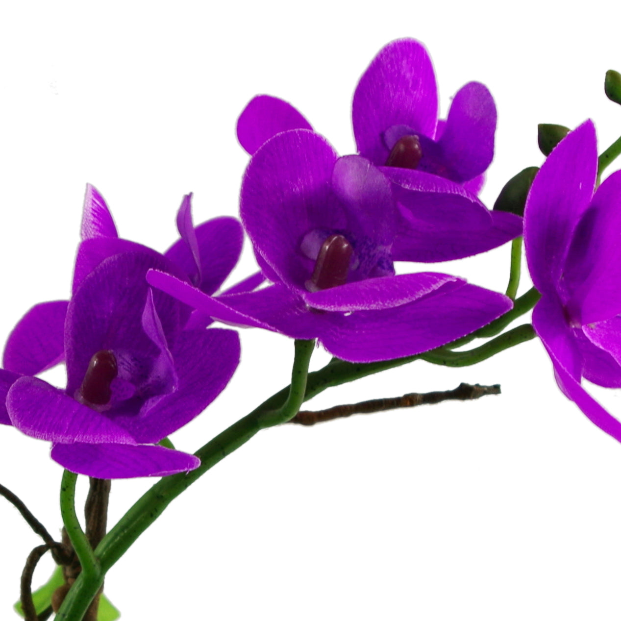 24cm Purple Artificial Orchid in White Ceramic Display Planter