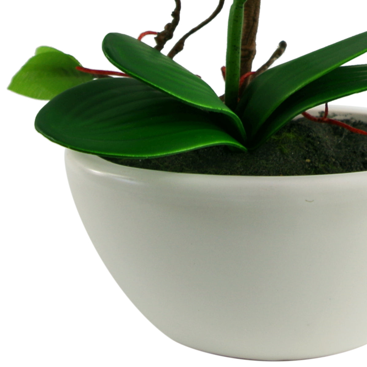 24cm Purple Artificial Orchid in White Ceramic Display Planter