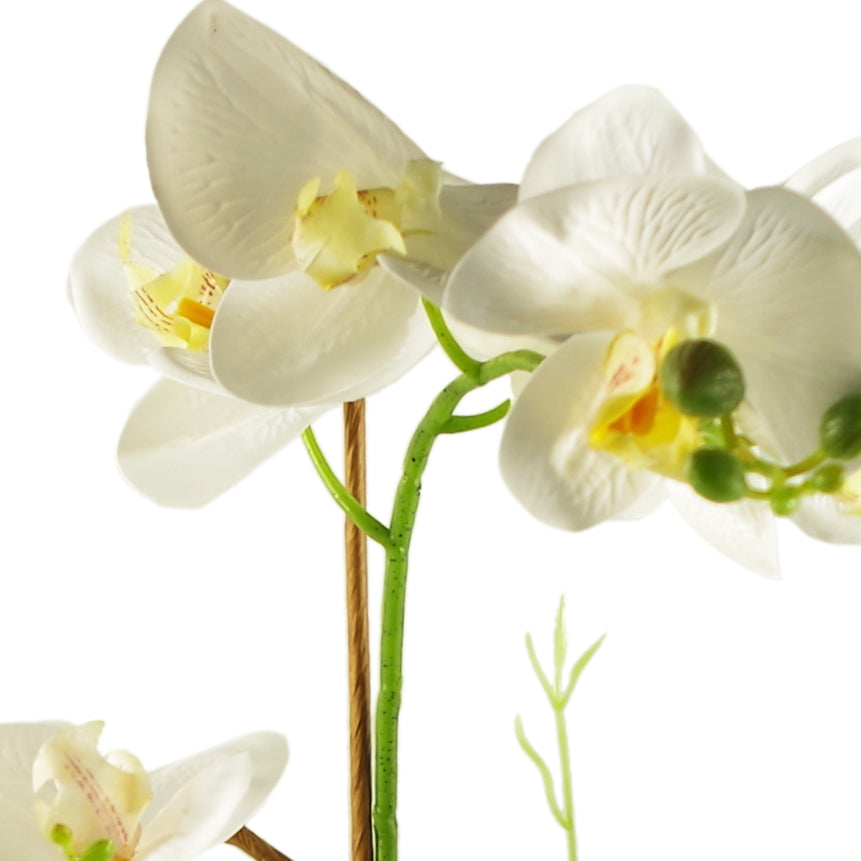 55cm Artificial Blossoming Orchid Display in Ceramic Planter