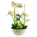 55cm Artificial Blossoming Orchid Display in Ceramic Planter