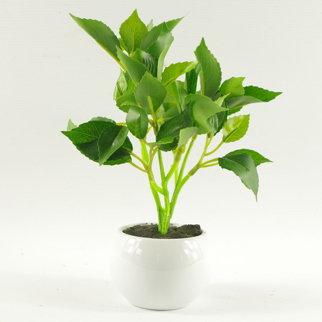 20cm Mini Desktop Artificial Bonsai Ficus in Ceramic Planter