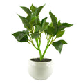 20cm Mini Desktop Artificial Bonsai Ficus in Ceramic Planter