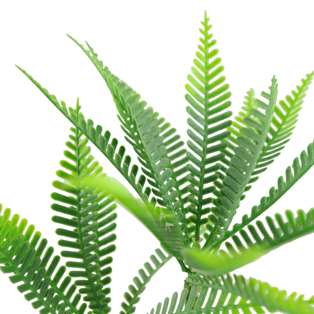 CLEARANCE 22cm Micro Palm Desktop Plant