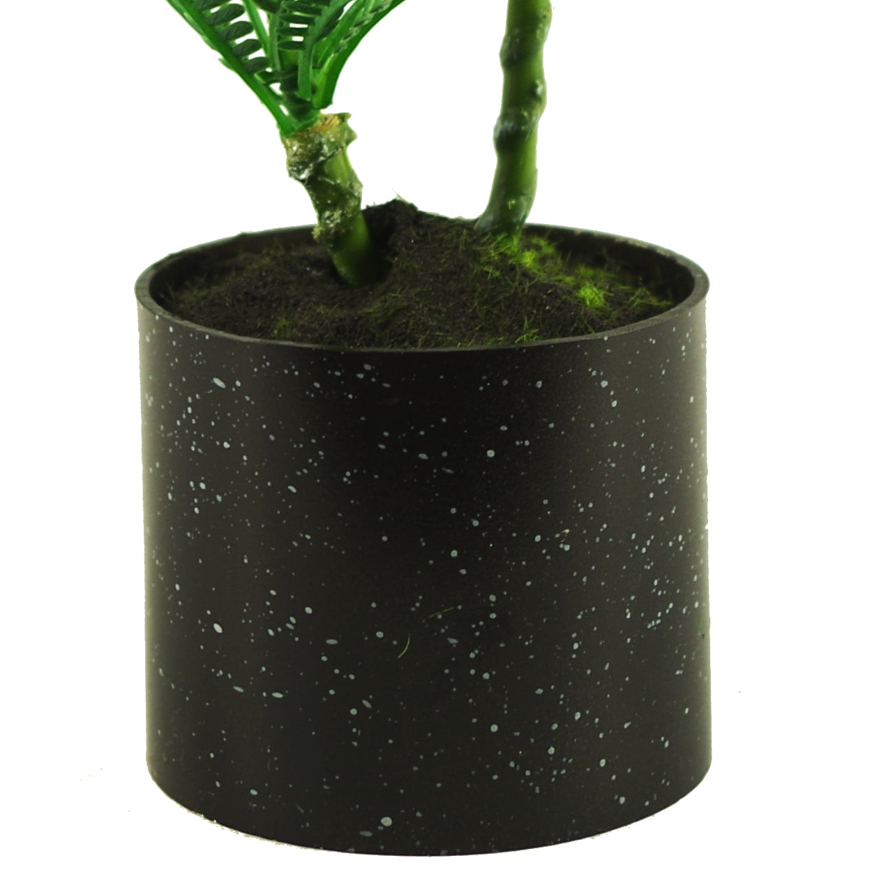 CLEARANCE 22cm Micro Palm Desktop Plant