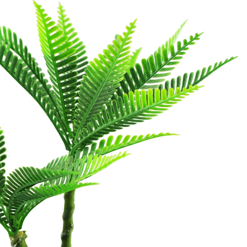 CLEARANCE 22cm Micro Palm Desktop Plant