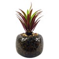 18cm Ceramic Spotted Planter with Artificial Red Dracaena Plant