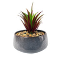 18cm Ceramic Blue Dish Planter with Artificial Red Dracaena Plant