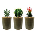 Set of Three 17cm Ceramic Stone Stripe Planter with Artificial Cactus Dracaena & Succulents