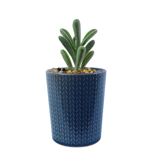 17cm Ceramic Blue Stripe Planter with Artificial Succulent Plant