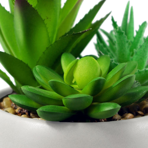12cm Ceramic Pebble White Planter with Three Artificial Succulent Plants