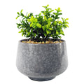 17cm Ceramic Tall Blue Planter with Artificial Crassula Plant