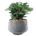 23cm Ceramic Tall Blue Planter with Artificial Dark Green Mosaic Plant