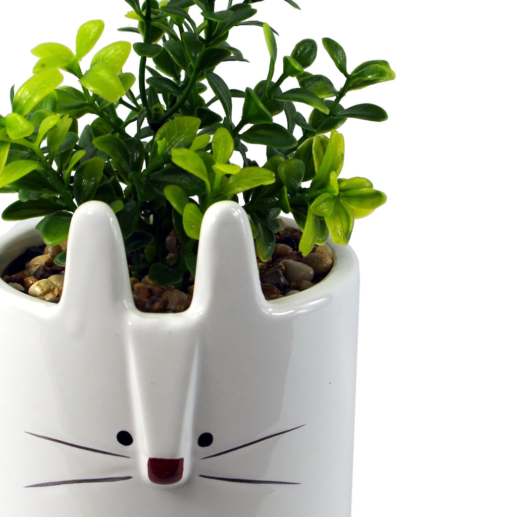 Set of Rabbit Fox and Elephant Ceramic Pots
