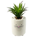 24cm Ceramic White Cat Planter with Artificial Green Succulent Plant