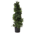 100cm Artificial Cedar Spiral Topiary Tree Bushy Style UV Protected