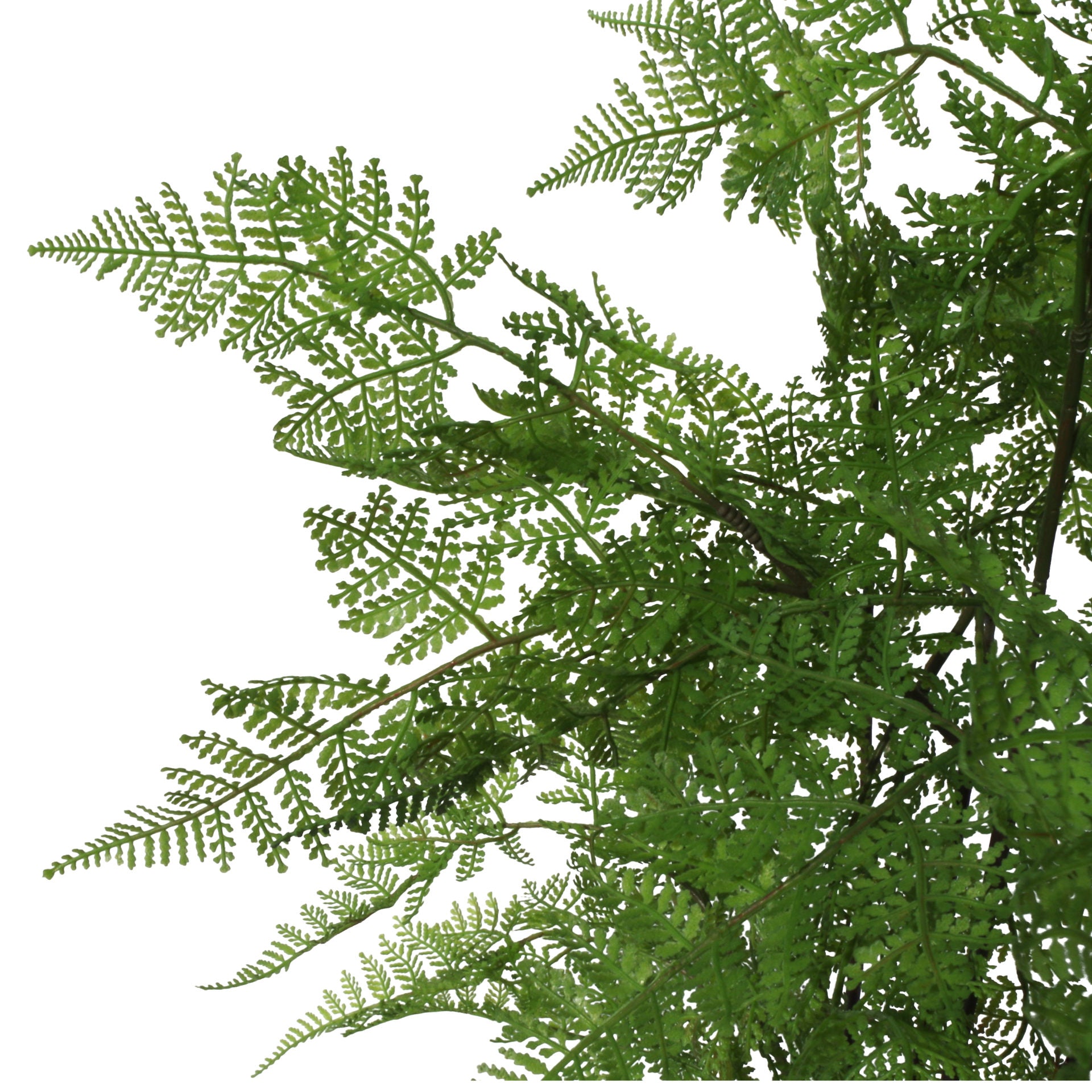 150cm Artificial Natural Moss Base Fern Foliage Plant with Silver Metal Plater