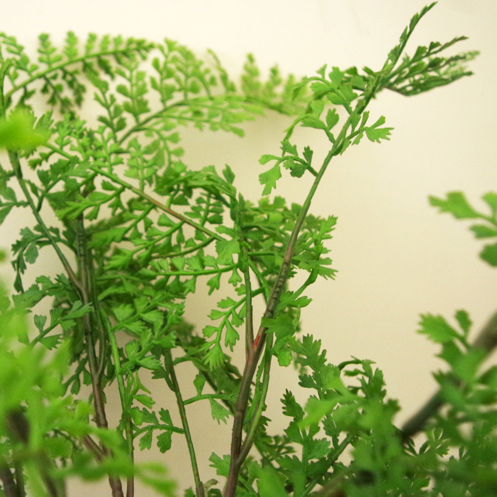65cm Realistic Artificial Fern Plant