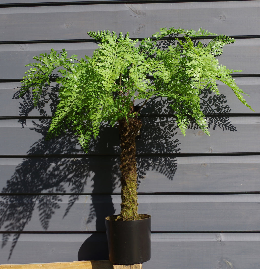 55cm Mini Artificial Fern Tree with Pot