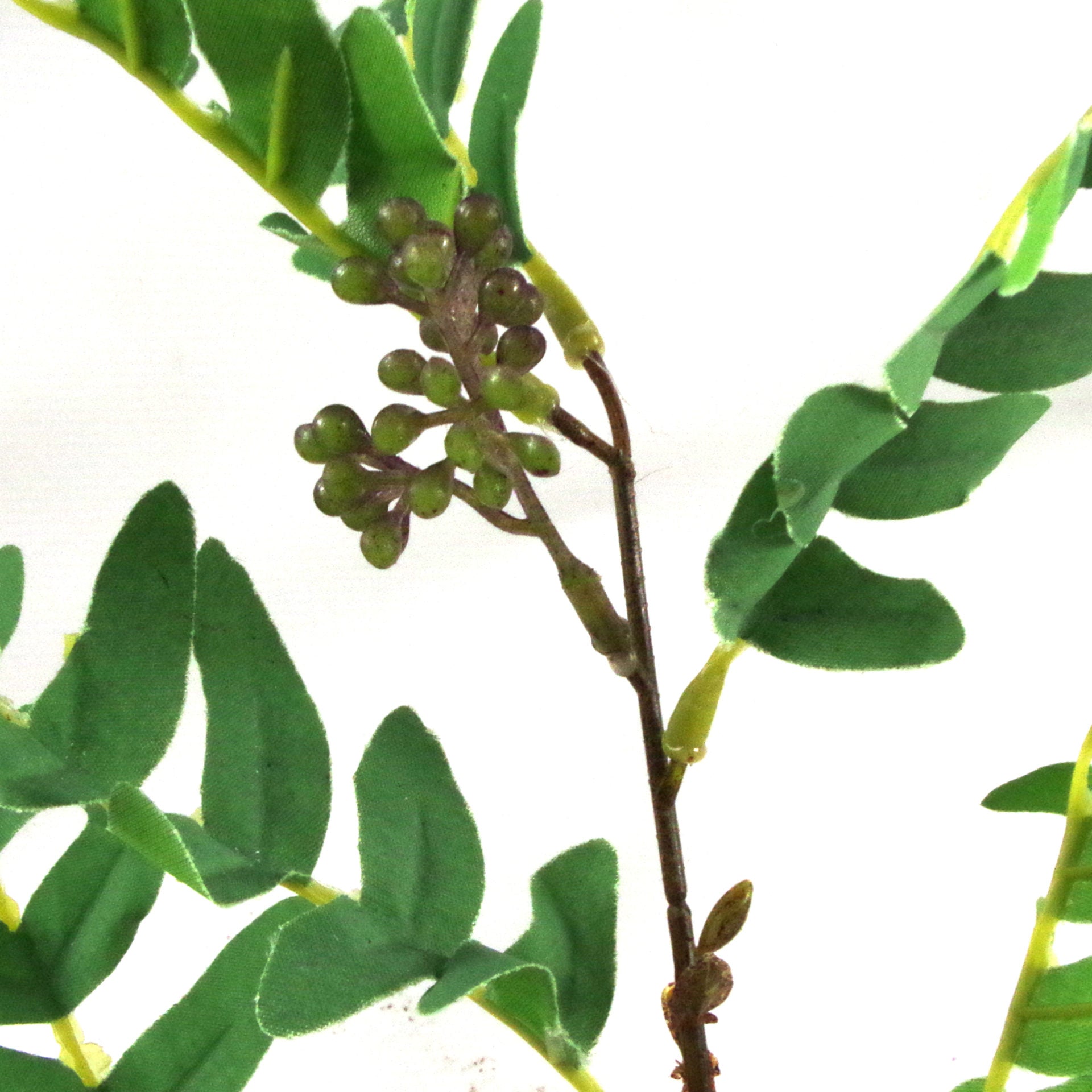 50cm Artificial Evergreen Foliage Plant with Berries
