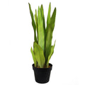 70cm Artificial Sansevieria Moonshine Plant