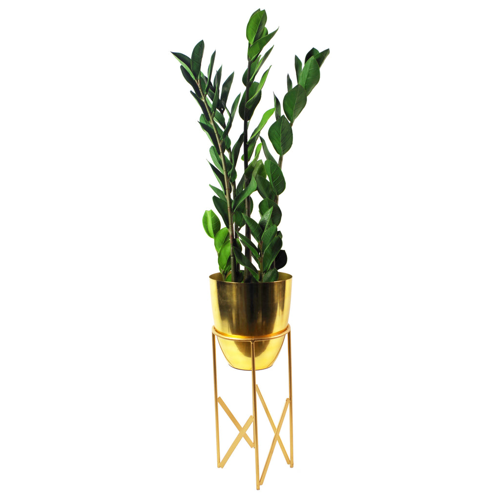 75cm Artificial Zanzibar Green Gem Zamioculcas Succulent Indoor Plant