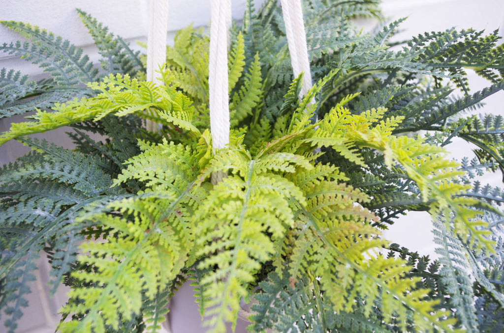 Potted Realistic Artificial Urban Jungle Hanging Fern Plant