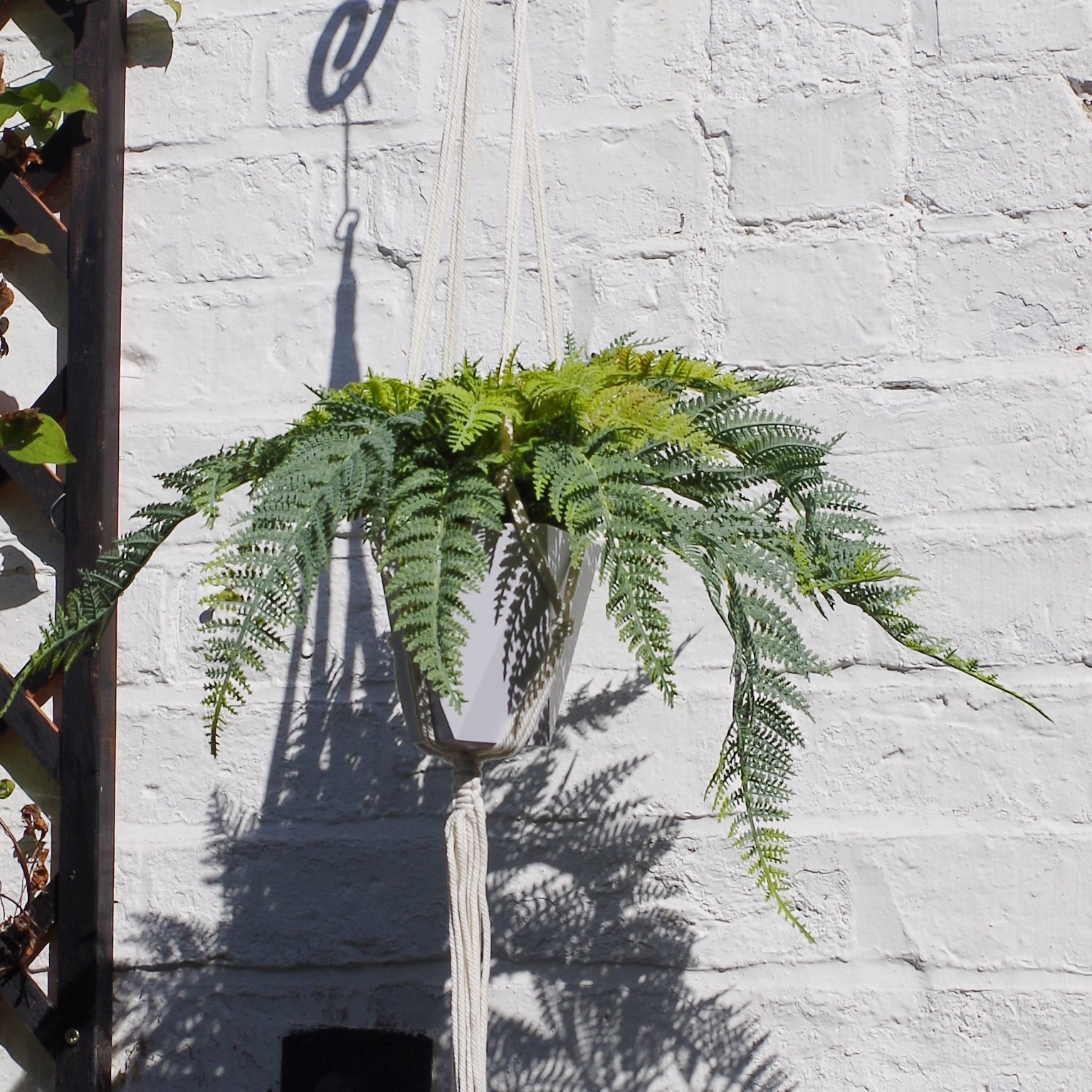 Potted Realistic Artificial Urban Jungle Hanging Fern Plant