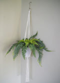 Hanging Potted Artificial Fern with Woven Rope Hanger & Geometric Pot