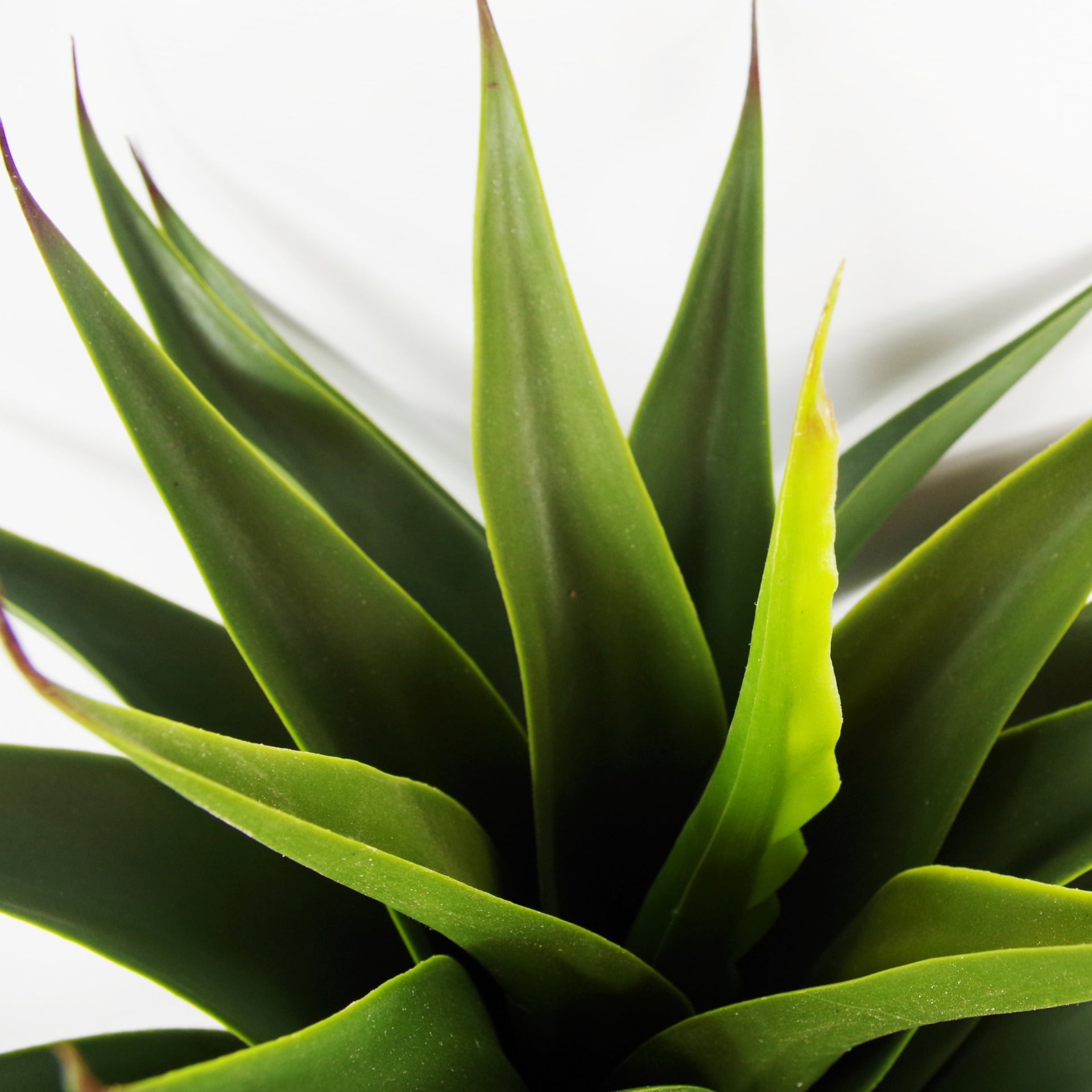 60cm Large Artificial Yucca Plant with Ceramic Planter & Stand