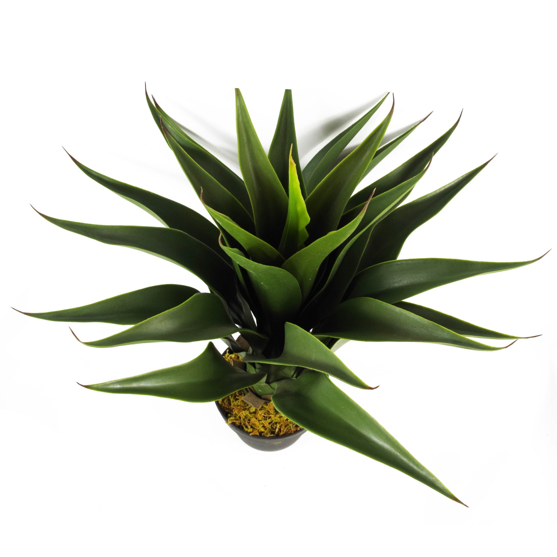 60cm Large Artificial Yucca Plant with Ceramic Planter & Stand