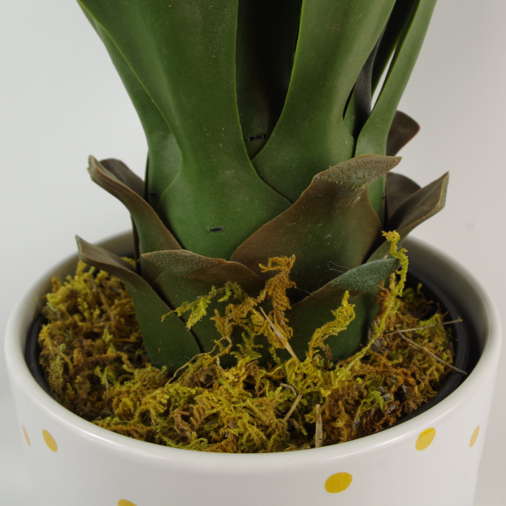 60cm Large Artificial Yucca Plant with Ceramic Planter & Stand