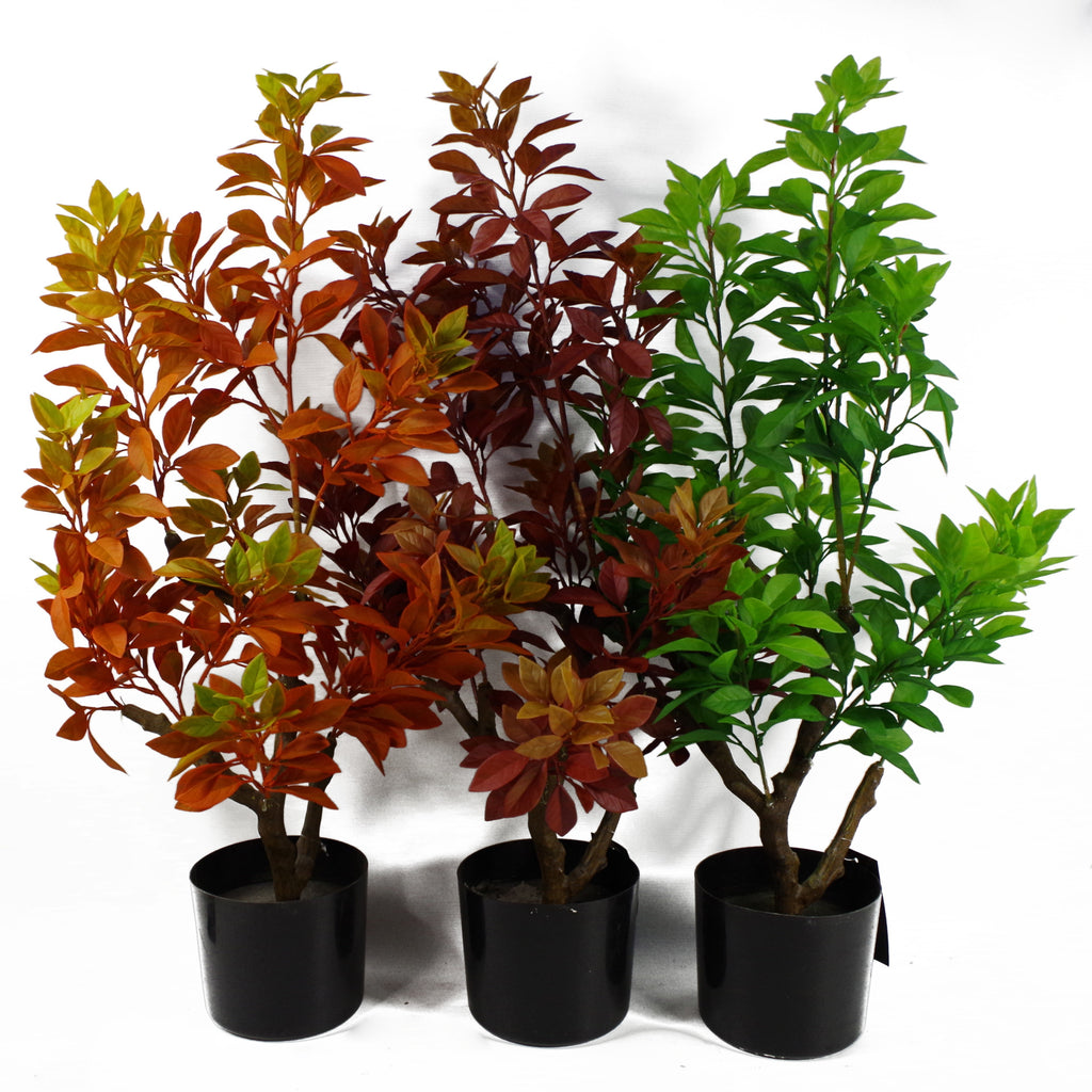 80cm Artificial Green Ficus Tree