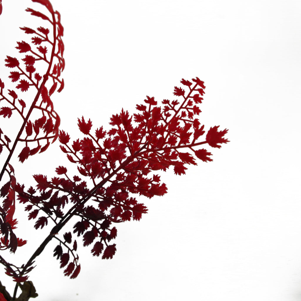 70cm Artificial Autumn Red Fern Tree Plant