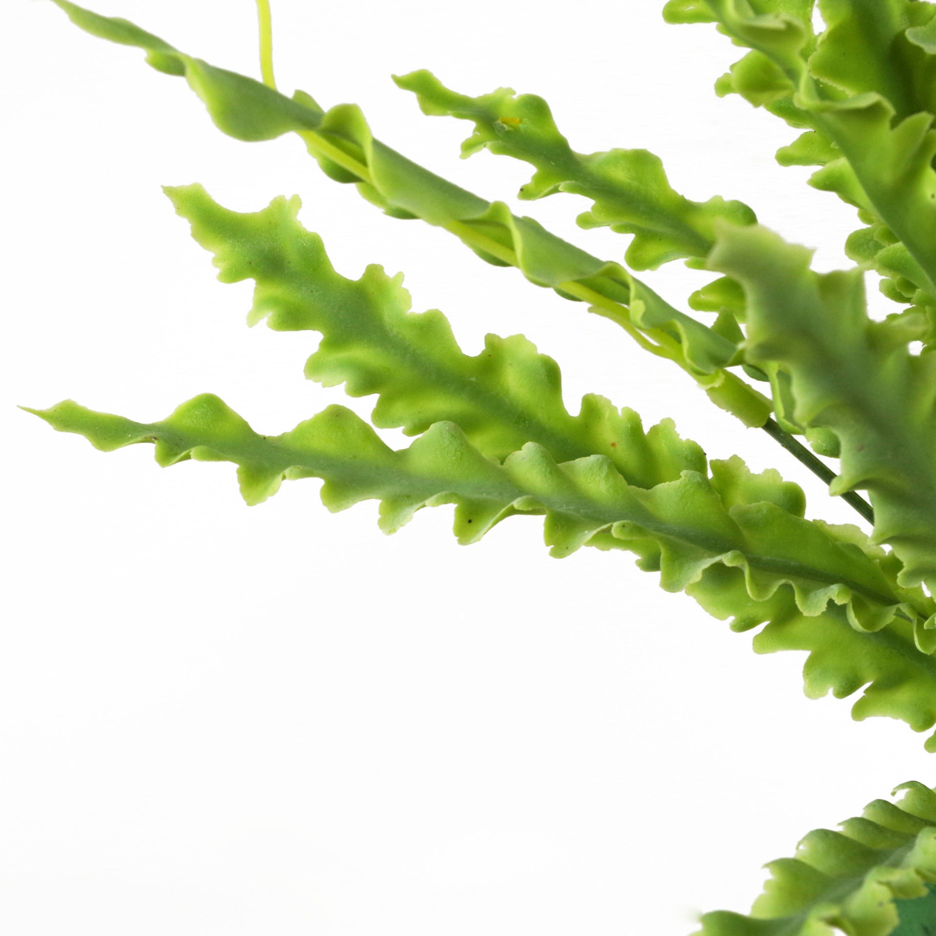 45cm Ceramic Planter With Stand And Artificial Fern Plants