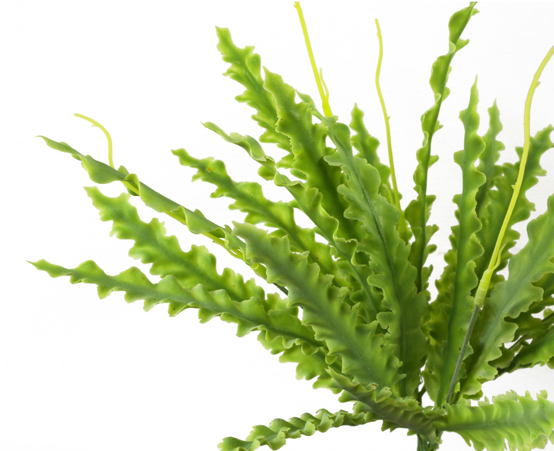 12 x 40cm Artificial Crocodile Fern Plant