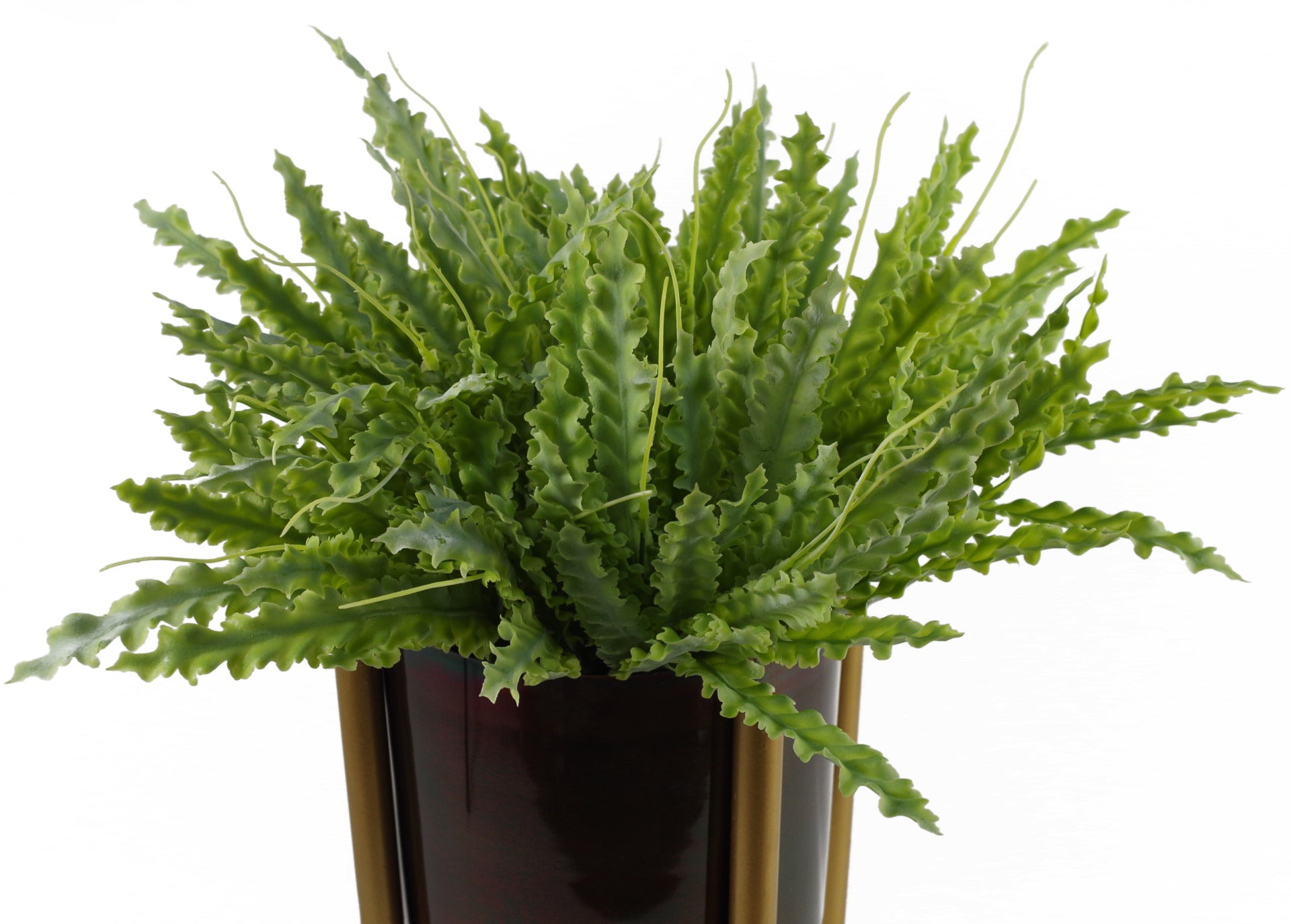 12 x 40cm Artificial Crocodile Fern Plant