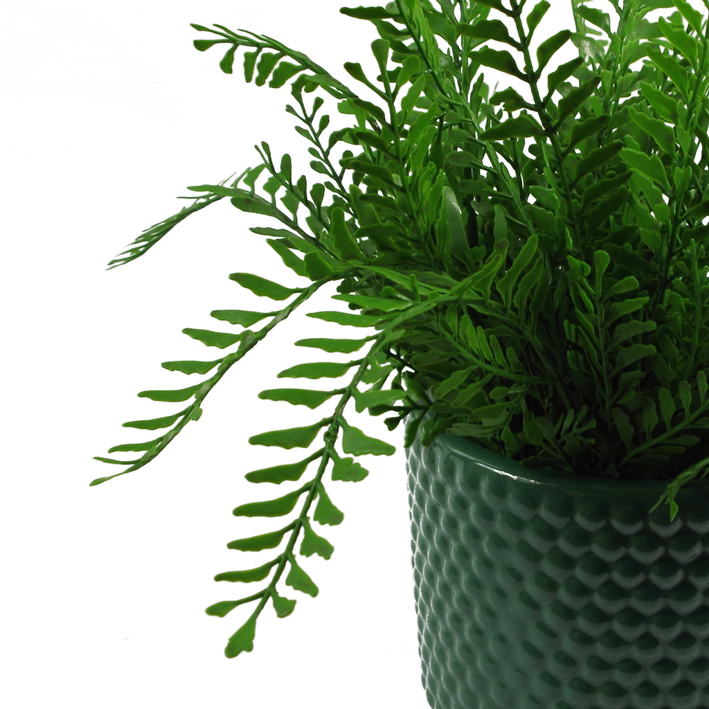 Green Raised Dots Ceramic Plant Pot 15 x 15 x 12.5cm
