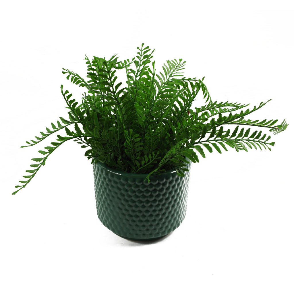 Green Raised Dots Ceramic Plant Pot 15 x 15 x 12.5cm