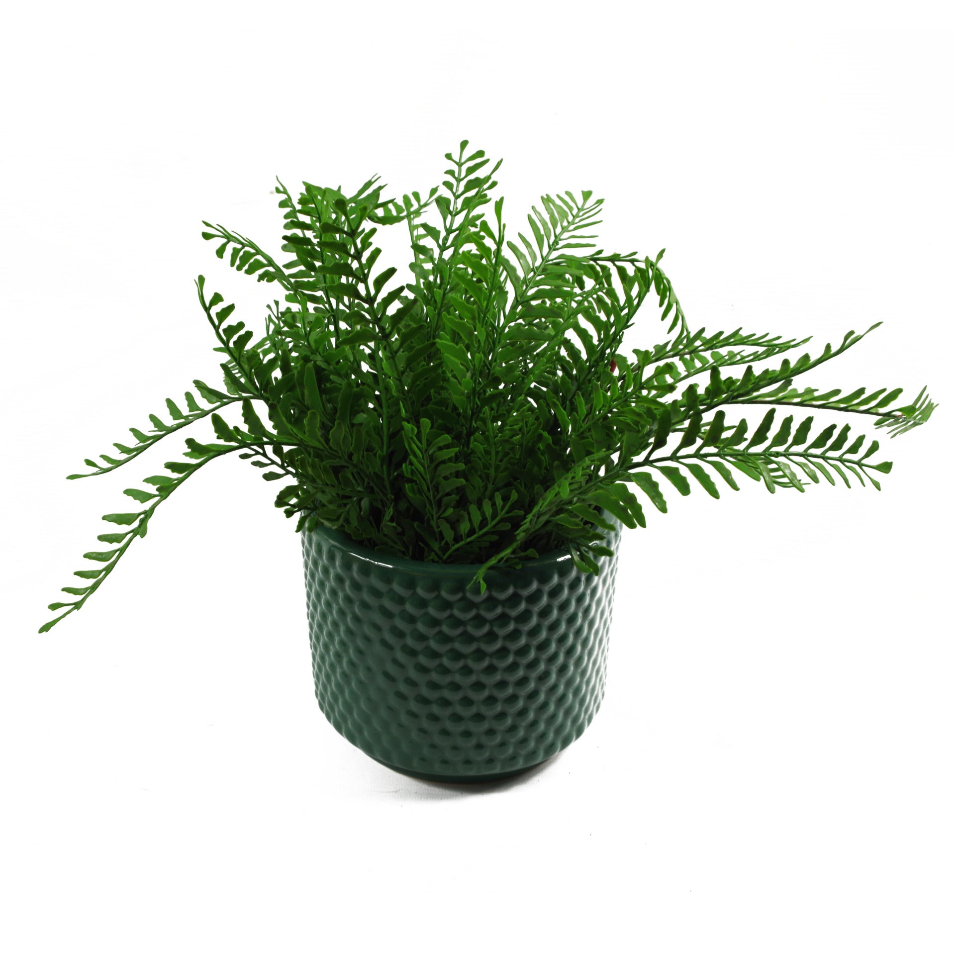 Green Raised Dots Ceramic Plant Pot 15 x 15 x 12.5cm